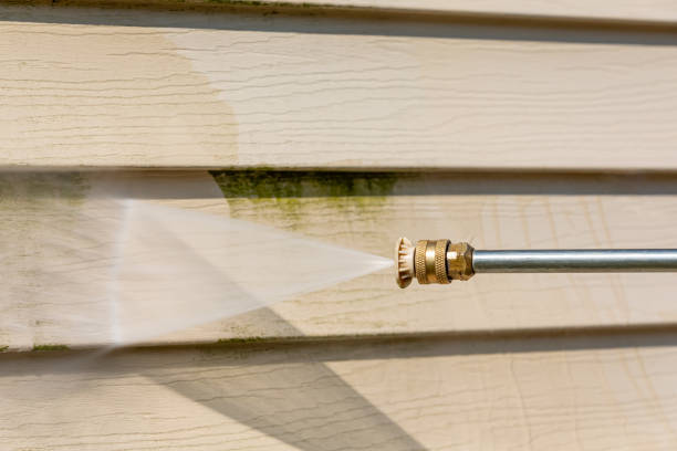 Deck Cleaning Services in Medina, WA